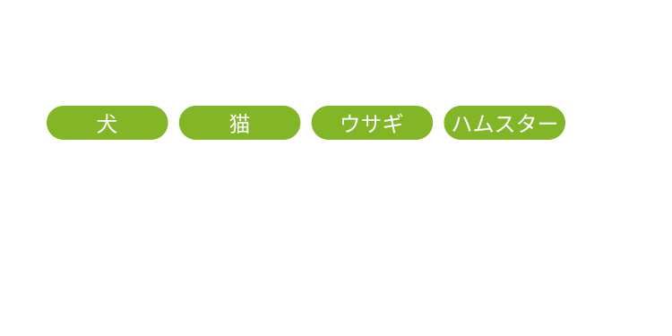 犬 猫 ウサギ ハムスター